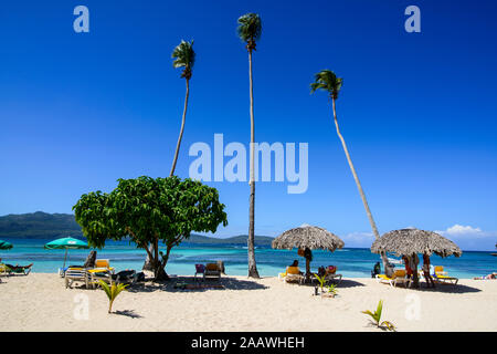 Palmen am Strand gegen den blauen Himmel während der sonnigen Tag, Playa Playita, Dominikanische Republik Stockfoto