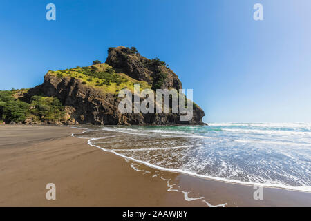 Malerischer Blick auf Piha Beach gegen den klaren blauen Himmel während der sonnigen Tag, Auckland, Neuseeland Stockfoto