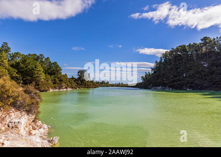 See Ngakoro, Wai-O-Tapu Thermal Wonderland, Taupo Volcanic Zone, North Island, Neuseeland Stockfoto