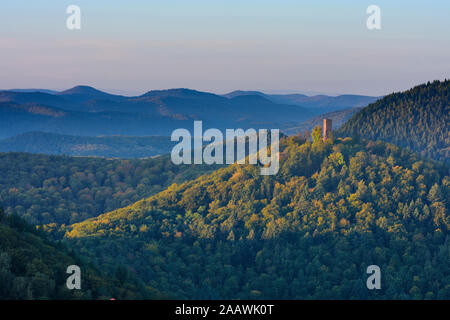 Annweiler am Trifels: Scharfenberg Burg im Pfälzerwald, Pfälzer Wald, Rheinland-Pfalz, Rheinland-Pfalz, Deutschland Stockfoto