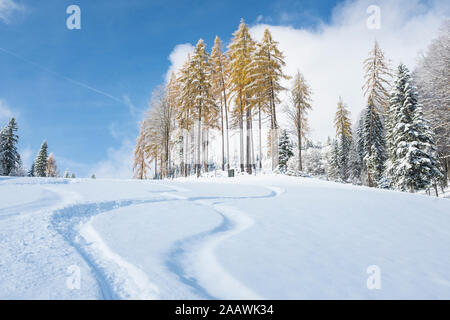 Österreich, Salzburger Land, Heutal Duernbachhorn, im Winter Stockfoto