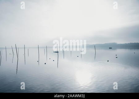 Schweiz, Zürich, Pfäffikon, neblige Aussicht auf See Stockfoto