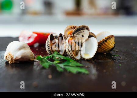 In der Nähe von Muscheln und Zutaten auf der Arbeitsplatte in der Küche Stockfoto