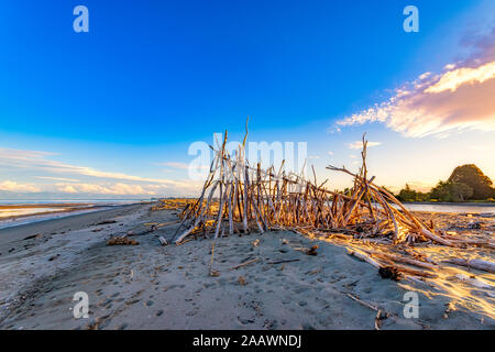 Hütte mit driftwoods am Strand gegen den blauen Himmel, Motueka, Südinsel, Neuseeland Stockfoto