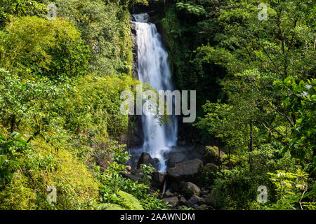 Malerischer Blick auf den Trafalgar fällt bei Morne Trois Pitons Nationalpark, Dominica, Karibik Stockfoto