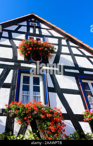 Siebeldingen: Fachwerkhaus in der Weinstraße, Deutsche Weinstraße, Rheinland-Pfalz, Rheinland-Pfalz, Deutschland Stockfoto