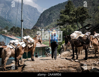 Junge Frau mit Rucksack, Phakding, Solo Khumbu, Nepal Stockfoto