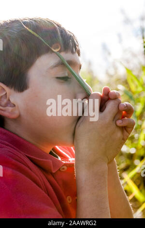 Boy Blasen auf Gras blade Stockfoto