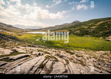 Hochplateau in der Nähe von Lac de Nino, Albertacce, Korsika, Frankreich Stockfoto