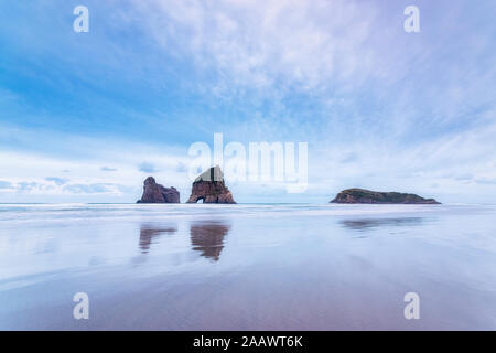 Neuseeland, Südinsel, Wharariki Beach, Torbogen Inseln, Felsen im Meer Stockfoto