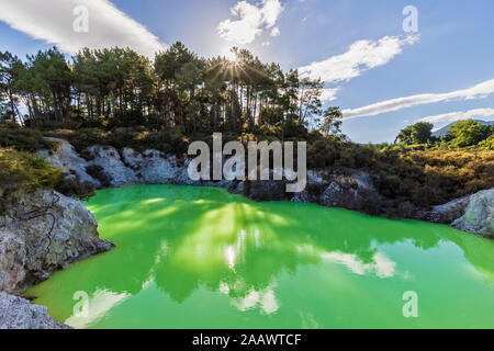 Devil's Cave Pool, Wai-O-Tapu Thermal Wonderland, Taupo Volcanic Zone, North Island, Neuseeland Stockfoto