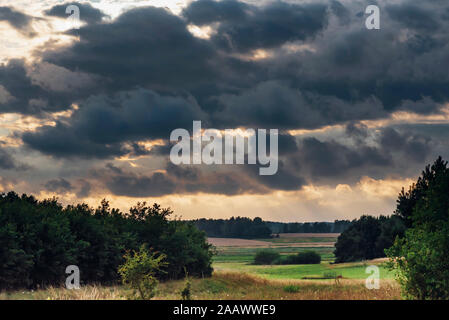 Malerischer Blick auf cloudscape über Bäume auf dem Feld bei Sonnenuntergang, Polen Stockfoto