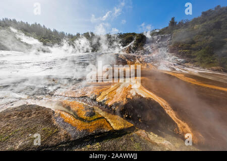 Hot Springs Algen und Terracettes und Smaragd Orakei Korako Geothermie Terrasse, Park, Taupo Volcanic Zone, North Island, Neuseeland Stockfoto