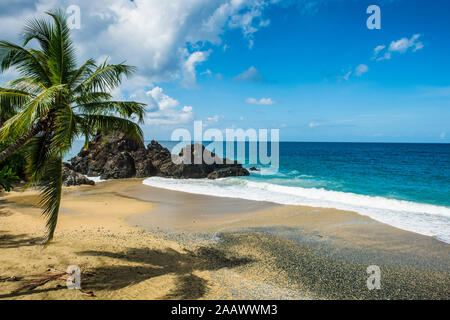 Malerischer Blick auf Meer gegen den blauen Himmel im Tobago während der sonnigen Tag, Karibik Stockfoto