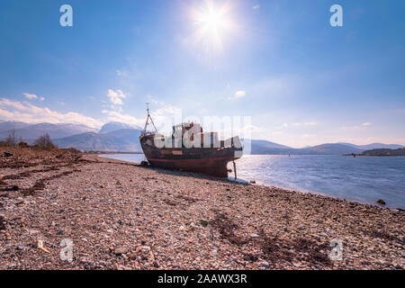 Schiffbruch mit Ben Nevis und im Hintergrund Fort William am Loch Linnhe, Highlands, Schottland, UK Stockfoto