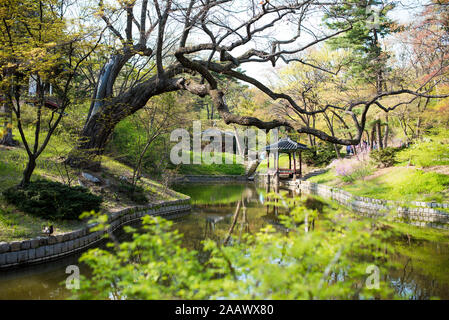 Pagode im Secret Garden von Changdeokgung-palast, Seoul, Südkorea Stockfoto