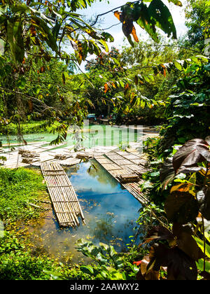 Region Jamaika, Montego Bay, Rafting Dorf, Martha Brae Fluss, bambusflöße Stockfoto