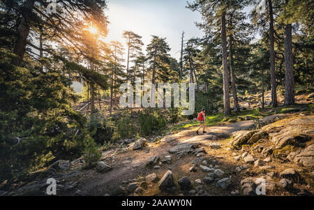 Weibliche Wanderer während der Wanderung, Albertacce, Haute-Corse, Korsika, Frankreich Stockfoto