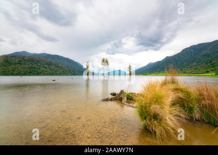 Neuseeland, Südinsel, Gras am Ufer des Sees Poerua mit bewaldeten Hügeln im Hintergrund wächst Stockfoto