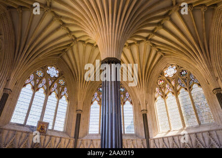 Die Thirteenth-Century Kapitel Haus der Kathedrale von Wells, Somerset, UK, mit markanten Vaulting. Stockfoto