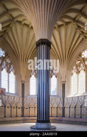 Die Thirteenth-Century Kapitel Haus der Kathedrale von Wells, Somerset, UK, mit markanten Vaulting. Stockfoto