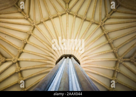 Die Thirteenth-Century Kapitel Haus der Kathedrale von Wells, Somerset, UK, mit markanten Vaulting. Stockfoto