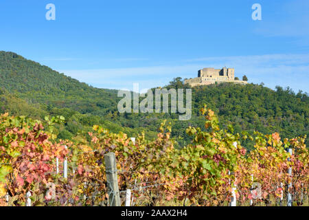 Neustadt an der Weinstraße: Hambacher Schloss (Hambacher Schloss), Weinberg in der Weinstraße, Deutsche Weinstraße, Rheinland-Pfalz, Rheinland-Pfalz, Germ Stockfoto