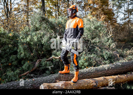 In voller Länge Porträt eines professionellen Holzfäller in schützende Arbeitskleidung zu Fuß mit Kettensäge auf die Protokolle in den Wald Stockfoto