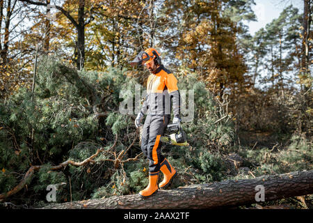 In voller Länge Porträt eines professionellen Holzfäller in schützende Arbeitskleidung zu Fuß mit Kettensäge auf die Protokolle in den Wald Stockfoto