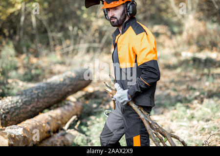 Professionelle Holzfäller in schützende Arbeitskleidung, die Äste, der bei der Anmeldung im Pinienwald Stockfoto