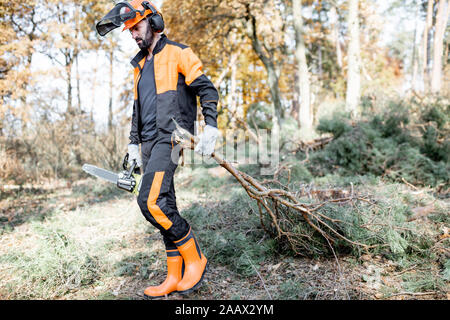 Professionelle Holzfäller in schützende Arbeitskleidung, die Äste, der bei der Anmeldung im Pinienwald Stockfoto