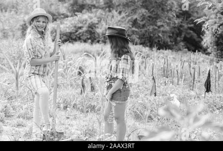 Landwirtschaft Konzept. Schwestern gemeinsam auf der Farm helfen. Mädchen Pflanzen Pflanzen. Rustikale Kinder im Garten arbeiten. Anpflanzung und Bewässerung. Anpflanzung von Gemüse. Anbau von Gemüse. Hoffnung für gute Ernte. Stockfoto