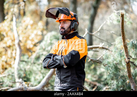 Taille - Porträt eines professionellen lumberman in harhat und schützende Arbeitskleidung stehen in den Pinienwald Stockfoto