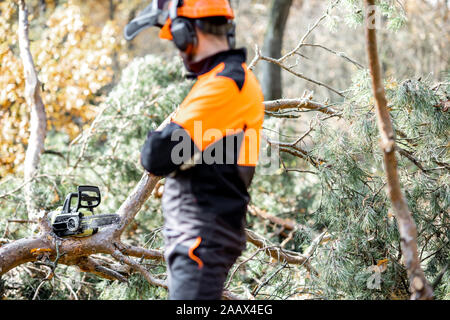 Taille - Porträt eines professionellen lumberman in harhat und schützende Arbeitskleidung auf die Kettensäge in den Pinienwald Stockfoto