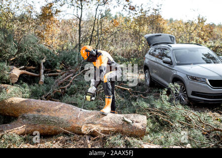 Professionelle lumberman in schützende Arbeitskleidung Sägen einen Baum im Wald mit seinem SUV Auto auf dem Hintergrund Stockfoto