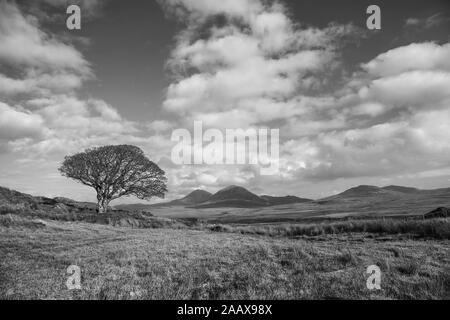 Islay Paps Jura Stockfoto