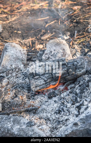 Glühende Holzasche bleibt aus Holz brennen Lagerfeuer in einem Stein Feuer Kreis verwendet. Metapher überleben Fähigkeiten, Camping, Outdoor, Lagerfeuer, bushcraft. Stockfoto