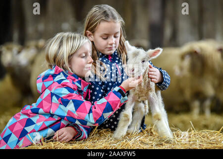 Freunde Florenz Park, acht (rechts) und Emily Jenkins, Neun, ein neugeborenes Lamm im lambing Schuppen an der Olde Haus, Kapelle Schlendern, Cornwall, wo die milderen Cornish Wetter bietet der Bauernhof zwei lambing Jahreszeiten über das Jahr, rund 500 Lämmer werden voraussichtlich im Herbst dieses Jahres geboren zu werden, kuscheln. Stockfoto