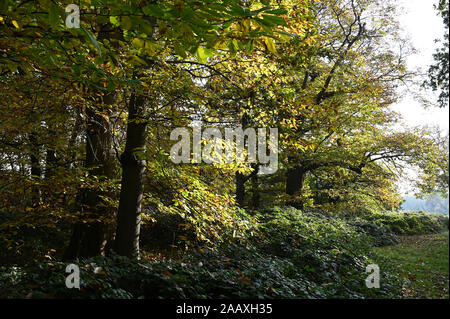 Foots Cray Wiesen, Foots Cray, Nr Sidcup, Kent. Großbritannien Stockfoto