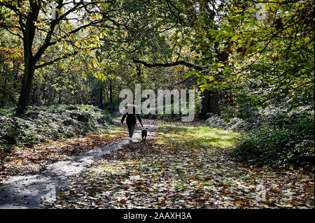 Hund Wandern. Foots Cray Wiesen, Foots Cray, Nr Sidcup, Kent. Großbritannien Stockfoto