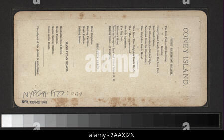 Feltman's Hotel (West Brighton Beach und Coney Island) Blick von Anthony, Keystone, Strohmeyer & Wyman und andere Fotografen und Verlage. Robert Dennis Sammlung von stereoskopische Ansichten. Titel von Cataloger'. Blick auf Coney Island, Brighton und Manhattan Strände: am Strand, im Wasser, einer Ansicht, ertranken Junge, Rettern und Zuschauern, Bänke, Bügeleisen Pier, Oriental Hotel und ein Fahrgeschäft, das Razzle Dazzle bei Coney Island; Musik Pavillon, Spazierwege, Hotel Brighton, Feltman's Hotel in Brighton Beach, Manhattan Beach Hotel, Notenständer, Mautstelle auf der Shell Stockfoto
