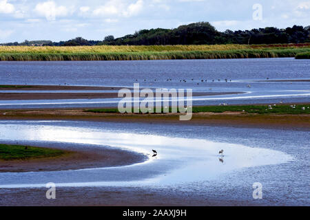 RSPB Titchwell Marsh Nature Reserve in Norfolk Stockfoto