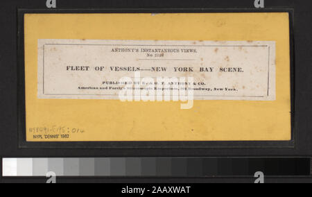 Flotte von Schiffen - New York Bay Szene umfasst einerseits - farbige Anzeigen. Robert Dennis Sammlung von stereoskopische Ansichten. Einige Ansichten haben steuerstempel angebracht. Titel von Cataloger'. Blick auf den Hafen von New York: Fähren, Segelschiffe, Piers und Kaianlagen, Dampfschiffe, einschließlich der Vorsehung und mit Blick auf den Innenbereich, schwebenden Getreidesilos, Lastkähne, Werften, Männer aus dem französischen Mann-von-Krieg Landung in einem dory an der Batterie, die US Barge Office und den Versand news Büro des New York Herald, der Fuß der Whitehall Street, Soldaten auf einen italienischen Mann-von-Krieg mit Bajonetten, Fort Lafayette, Regeln Stockfoto
