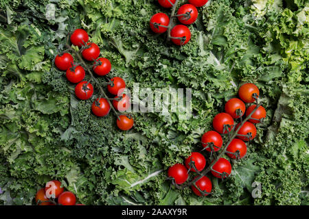 Rohe frische grüne curly Kohl mit roten Kirschtomaten auf Hintergrund. top Aussicht, Flach, Konzept der natürlichen Zusammensetzung von Lebensmitteln Stockfoto