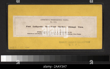 Fort Lafayette, New York Harbor Fernsicht umfasst einerseits - farbige Anzeigen. Robert Dennis Sammlung von stereoskopische Ansichten. Einige Ansichten haben steuerstempel angebracht. Titel von Cataloger'. Blick auf den Hafen von New York: Fähren, Segelschiffe, Piers und Kaianlagen, Dampfschiffe, einschließlich der Vorsehung und mit Blick auf den Innenbereich, schwebenden Getreidesilos, Lastkähne, Werften, Männer aus dem französischen Mann-von-Krieg Landung in einem dory an der Batterie, die US Barge Office und den Versand news Büro des New York Herald, der Fuß der Whitehall Street, Soldaten auf einen italienischen Mann-von-Krieg mit Bajonetten, Fort Lafayette, Stockfoto