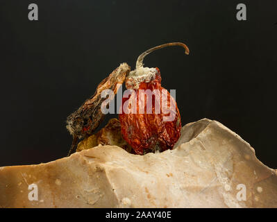 Getrocknete Scotch Bonnet peppers Still-life Food Fotografie Stockfoto