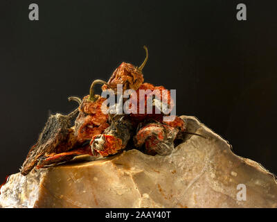 Getrocknete Scotch Bonnet peppers Still-life Food Fotografie Stockfoto