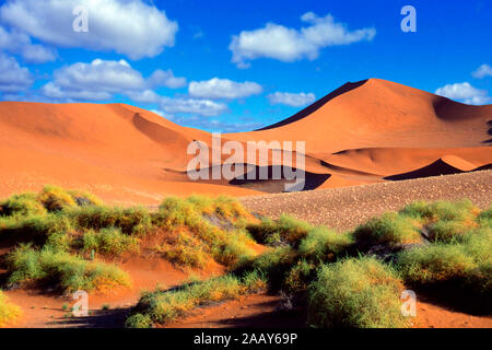 Sandduene - Sossusvlei - Namib Naukluft Nationalpark Stockfoto