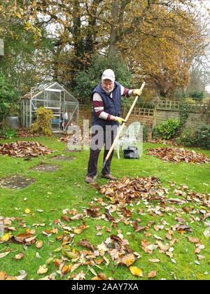 Mann, der an einem Herbsttag im Garten Laub raubt Stockfoto