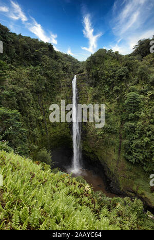 Malerische Akaka Falls in Hawaii der Vereinigten Staaten Stockfoto